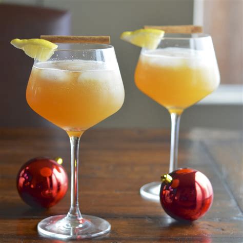 Sparkling Apple Cinnamon Cocktail | Virtually Homemade: Sparkling Apple ...