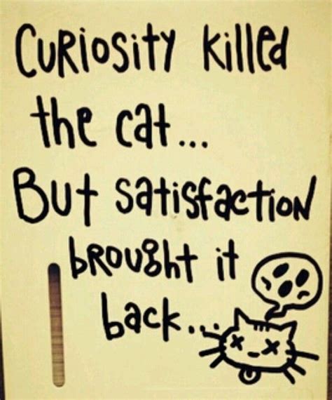 Curiosity killed the cat... But satisfaction brought it back. ;) - too ...