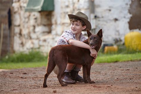 Should You Take Your Kids To See The Red Dog True Blue Movie? - School Mum