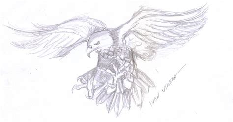 aguila a lapiz | Drawings, Drawing sketches, Humanoid sketch