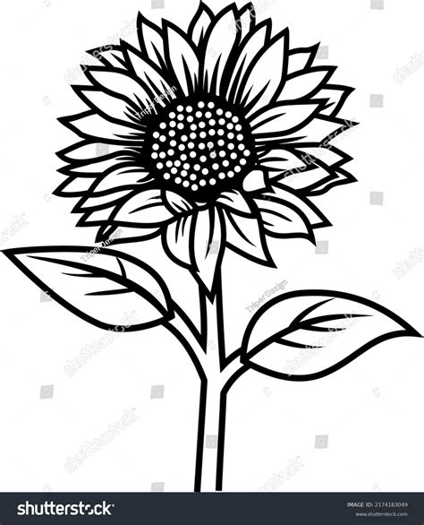 Sunflower Black And White Clipart - vrogue.co