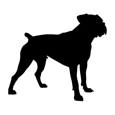 Boxer dog silhouette isolated on a white background. Vector ...