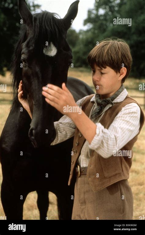 Black beauty film 1994 hi-res stock photography and images - Alamy