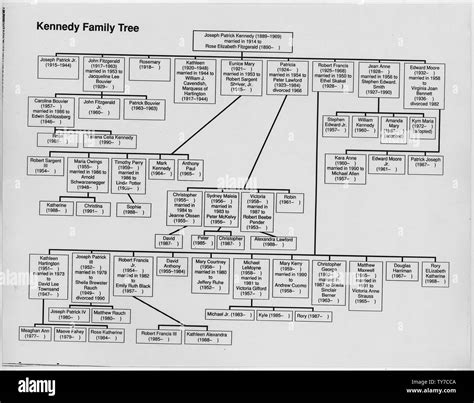 Kennedy Family Tree; Scope and content: Kennedy Family Tree starting ...