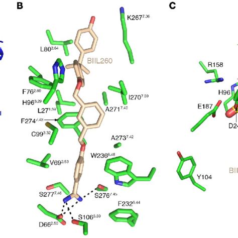 (PDF) Leukotriene receptors as potential therapeutic targets