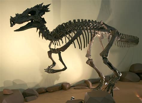 Dracorex Skull