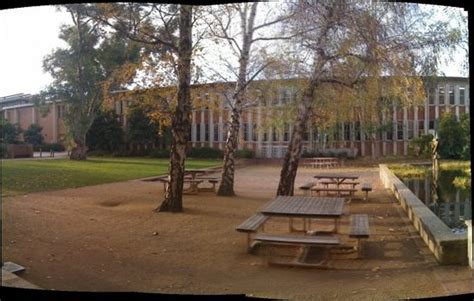 Outside in the Psych courtyard... for those rare moments we emerge from ...