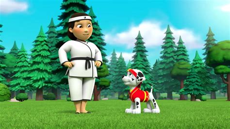 Watch Paw Patrol Season 4 Episode 22 : Pups Save Sensei Yumi - Watch Full Episode Online(HD) On ...