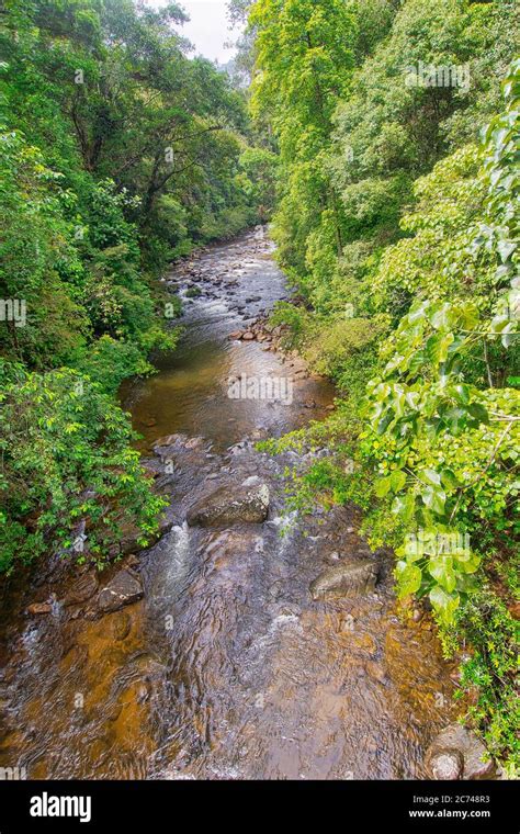 River, Sinharaja National Park Rain Forest, Sinharaja Forest Reserve ...