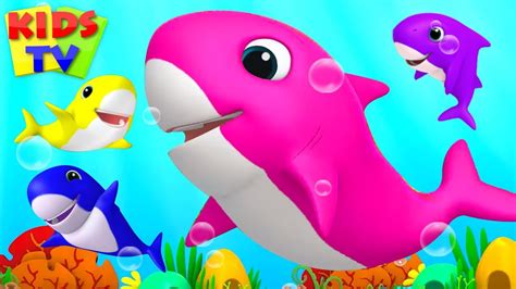 Baby Shark Song | Boom Buddies Cartoons | Kids Songs & Nursery Rhymes for Toddlers - YouTube