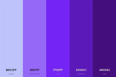 25+ Best Violet Color Palettes with Names and Hex Codes en 2024