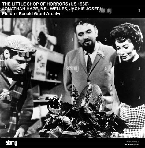 Little shop of horrors (1960) hi-res stock photography and images - Alamy