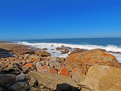 DON'T MISS: Hiking the Robberg Nature Reserve on the Garden Route