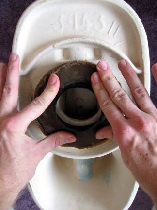 Installation of the toilet bowl seal