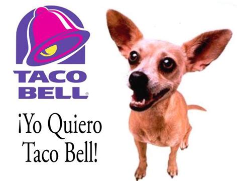 The Taco Bell Chihuahua