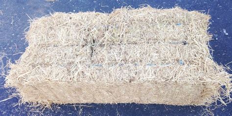 Rice Straw Bales - Certified Weed Free (Biodegradable) - 46" x 15" x 22 ...