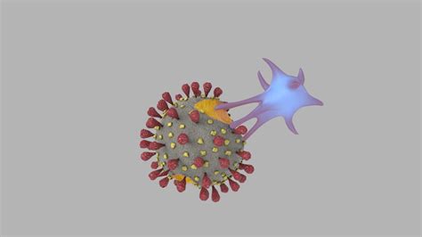 T-cell virus 3D model - TurboSquid 1557497