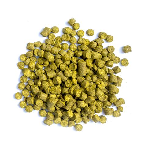 Hops - Citra Pellets – BrewHQ