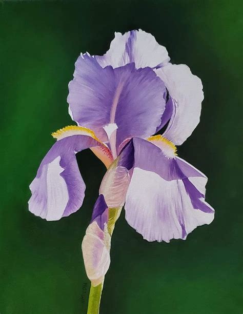 Purple Iris, flower, oil painting, still life floral painting, art ...