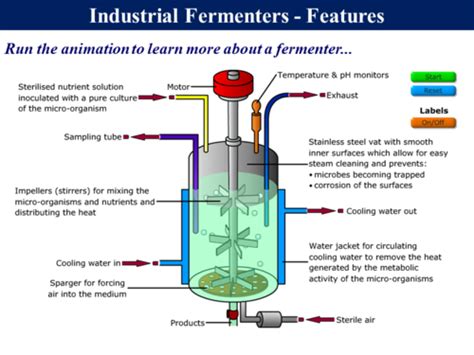 3.4.3 Food Production - Mycoprotein by - UK Teaching Resources - TES