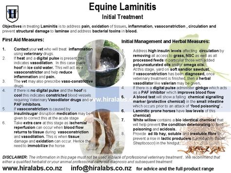 H-Laminitis Initial Treatment @ Hira Laboratories