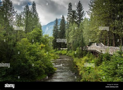 Fish Creek Bear Viewing Platform, Hyder, Alaska Stock Photo - Alamy