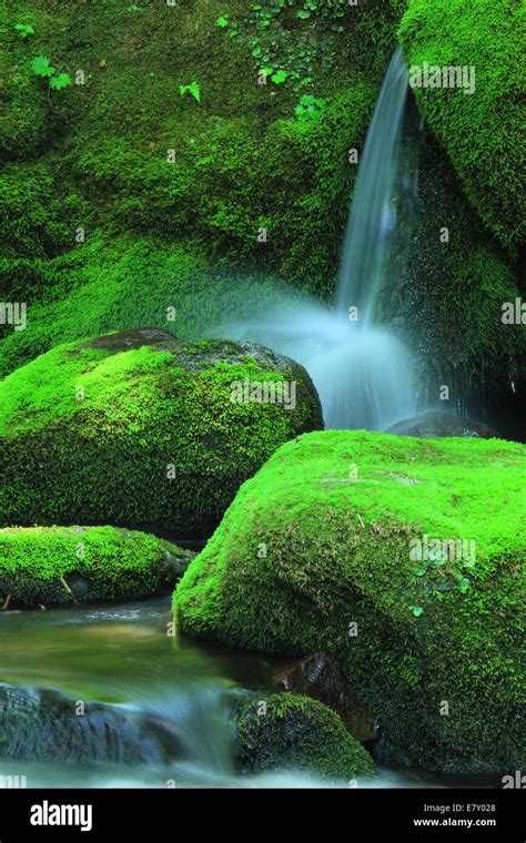 Akita Prefecture, Japan Stock Photo - Alamy