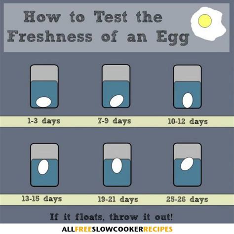 How to Test the Freshness of an Egg | AllFreeSlowCookerRecipes.com