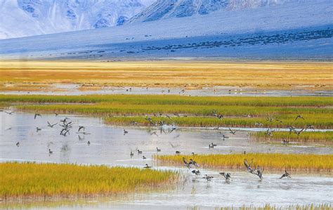 Amazing scenery of Tibet