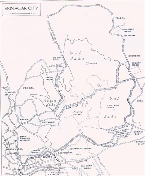 Map of Srinagar city. | Map, Thematic, Essay