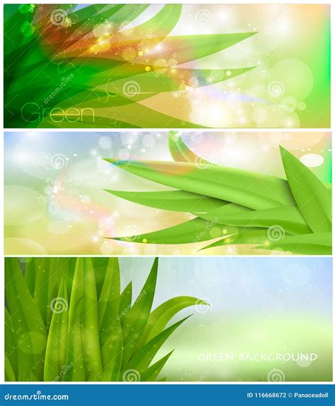 Grass Nature Banner for Facebook Vector Design Stock Illustration - Illustration of bright ...