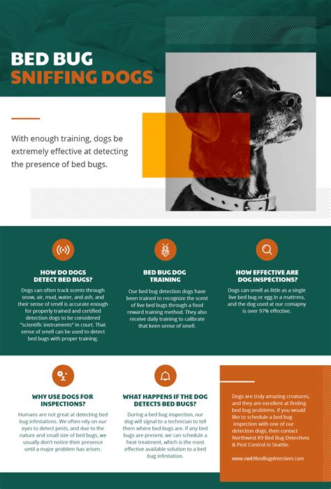 Bed Bug Sniffing Dogs - Meet Our Most Innovative Treatment Method