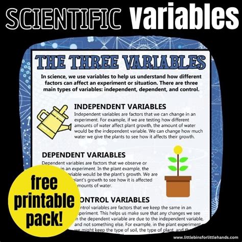 What Are Variables In Science - Little Bins for Little Hands