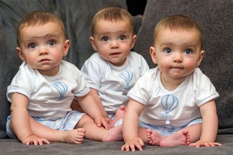 How Triplets Can Be Identical | Triplet babies, Newborn triplets, Triplets