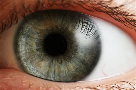 File:Eye iris.jpg - Wikimedia Commons