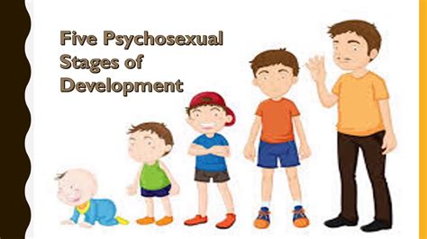 Freuds Psychosexual Stages Of Development