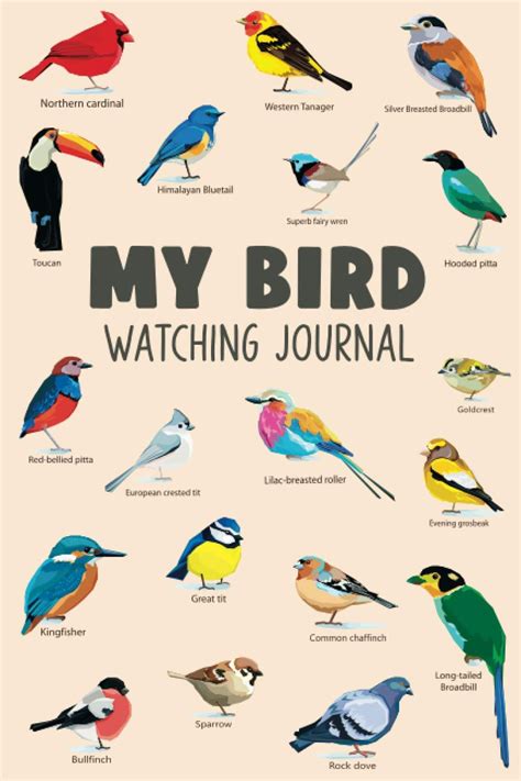 Where to find the best birdwatching tools: Binoculars, houses, baths and more - cleveland.com