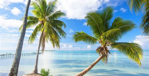 nature landscape french polynesia summer beach dock palm trees sea tropical bora bora clouds ...