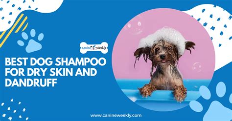 10 Best Dog Shampoos for Dry Skin and Dandruff of 2024