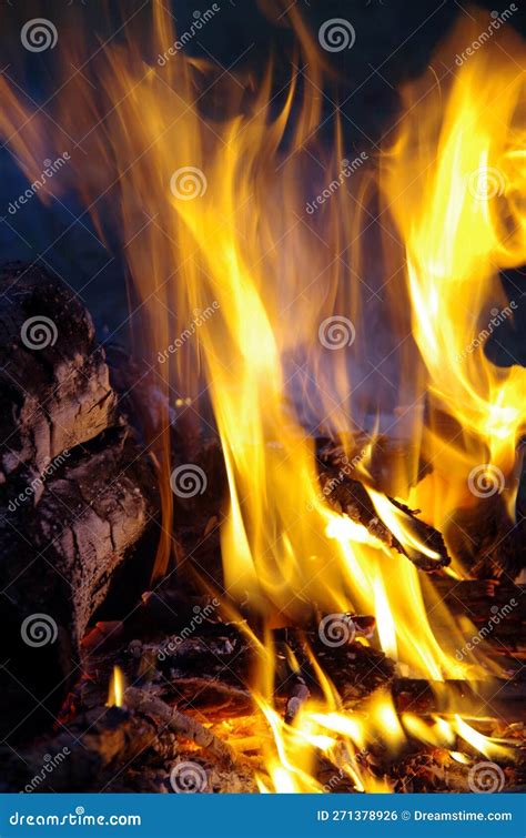 Outdoor Bonfire Burning Logs Stock Photo - Image of fireworks, fire: 271378926