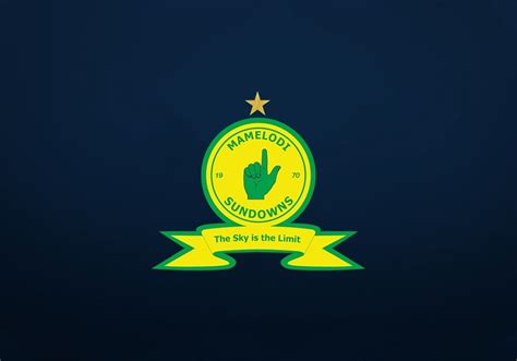 SUNDOWNS UNVEIL UPGRADED LOGO | Daily Sun