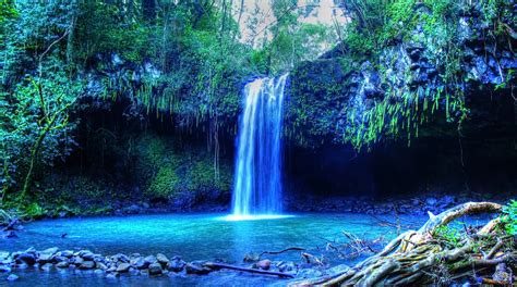 tropical water, Tropical forest, Hawaii, Isle of Maui, Maui, Palm trees, Beach, Waterfall ...