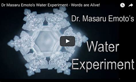 Dr Masaru Emoto’s Water Experiment – Words are Alive! – The Phaser