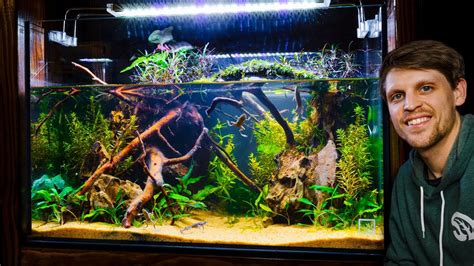 Dripping Jungle Paludarium for Community of Tiny Frogs (African Dwarf ...