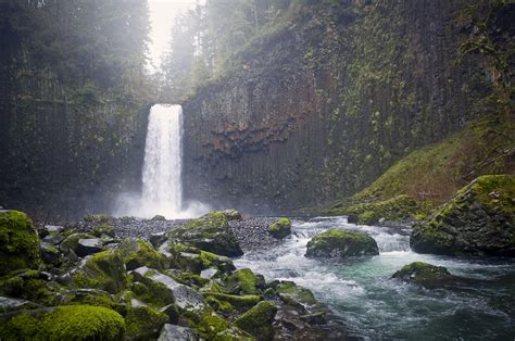 Best Hikes in Willamette National Forest (OR) | Trailhead Traveler