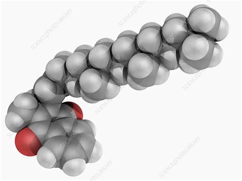 Vitamin K1 molecule - Stock Image - F004/7467 - Science Photo Library