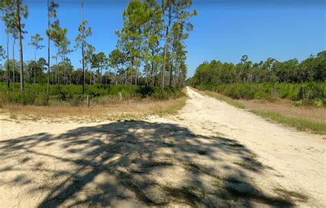 Panama City: Conservation Park & Gayles Trails - Great Runs