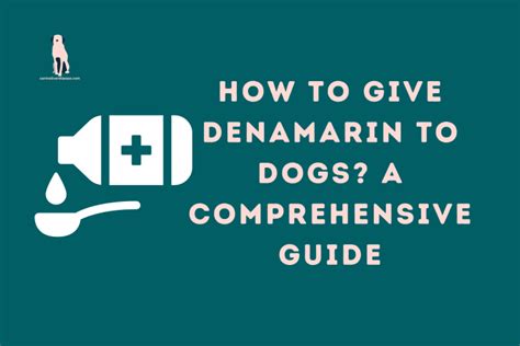 Denamarin For Dogs Side Effects Dosage, and More - Canine Liver Disease ...