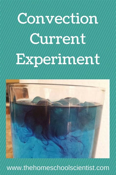 Convection Current Experiment - The Homeschool Scientist