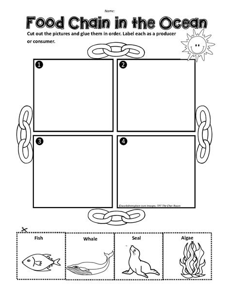 Ocean Food Chain Worksheet